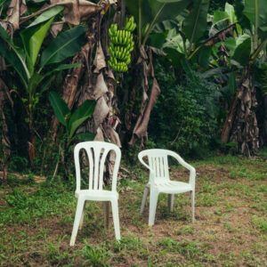 Reseña Debí Tirar Más Fotos (2025) por Bad Bunny