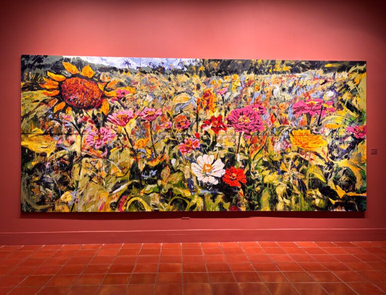 Field of colorful flowers.